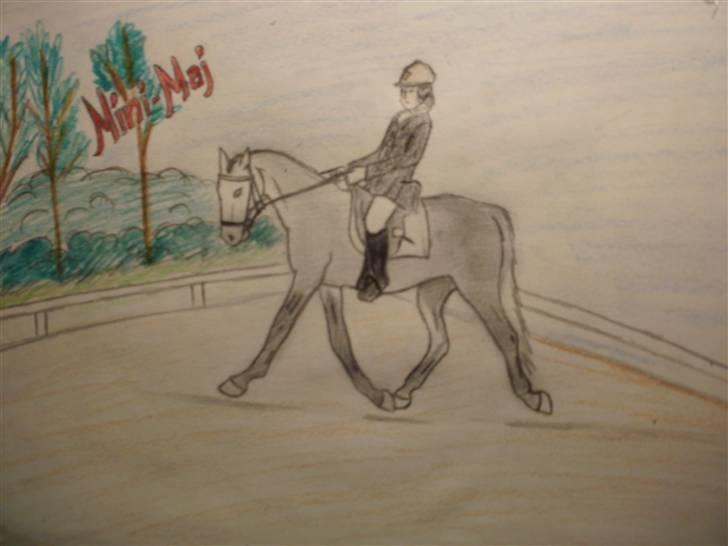 © Mine tegninger :) - Mit forsøg på at tegne Pernille og Målunds Mini-Maj. Jeg er overhovedet ikke tilfreds med resultatet, men jeg har kæmpet og kæmpet i flere timer - over tre gange. Dette er tredje forsøg, og mere bliver der ikke gjort. Bliver helt irriteret, fordi jeg er utålmodig :)
Håber du kan lide den alligevel, Pernille, det blev desværre ikke som jeg ville ha' det. /:

Bagparten er for lille, hovedet for stort og generelt blev det altså ikke som jeg ville :/
Link: http://hestegalleri.dk/html/gal_visbil.asp?ID=124556 billede 86