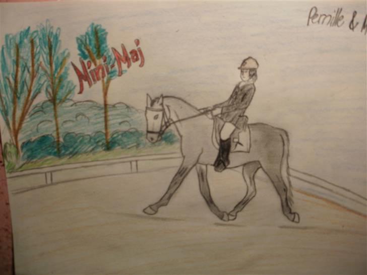 © Mine tegninger :) - Mit forsøg på at tegne Pernille og Målunds Mini-Maj. Jeg er overhovedet ikke tilfreds med resultatet, men jeg har kæmpet og kæmpet i flere timer - over tre gange. Dette er tredje forsøg, og mere bliver der ikke gjort. Bliver helt irriteret, fordi jeg er utålmodig :)
Håber du kan lide den alligevel, Pernille, det blev desværre ikke som jeg ville ha' det. /:

Bagparten er for lille, hovedet for stort og generelt blev det altså ikke som jeg ville :/
Link: http://hestegalleri.dk/html/gal_visbil.asp?ID=124556 billede 87