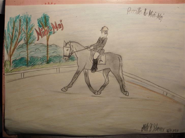 © Mine tegninger :) - Mit forsøg på at tegne Pernille og Målunds Mini-Maj. Jeg er overhovedet ikke tilfreds med resultatet, men jeg har kæmpet og kæmpet i flere timer - over tre gange. Dette er tredje forsøg, og mere bliver der ikke gjort. Bliver helt irriteret, fordi jeg er utålmodig :)
Håber du kan lide den alligevel, Pernille, det blev desværre ikke som jeg ville ha' det. /:

Bagparten er for lille, hovedet for stort og generelt blev det altså ikke som jeg ville :/
Link: http://hestegalleri.dk/html/gal_visbil.asp?ID=124556 billede 88