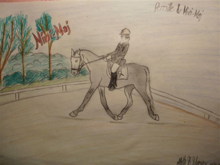 © Mine tegninger :) - Mit forsøg på at tegne Pernille og Målunds Mini-Maj. Jeg er overhovedet ikke tilfreds med resultatet, men jeg har kæmpet og kæmpet i flere timer - over tre gange. Dette er tredje forsøg, og mere bliver der ikke gjort. Bliver helt irriteret, fordi jeg er utålmodig :)
Håber du kan lide den alligevel, Pernille, det blev desværre ikke som jeg ville ha' det. /:

Bagparten er for lille, hovedet for stort og generelt blev det altså ikke som jeg ville :/
Link: http://hestegalleri.dk/html/gal_visbil.asp?ID=124556 billede 89