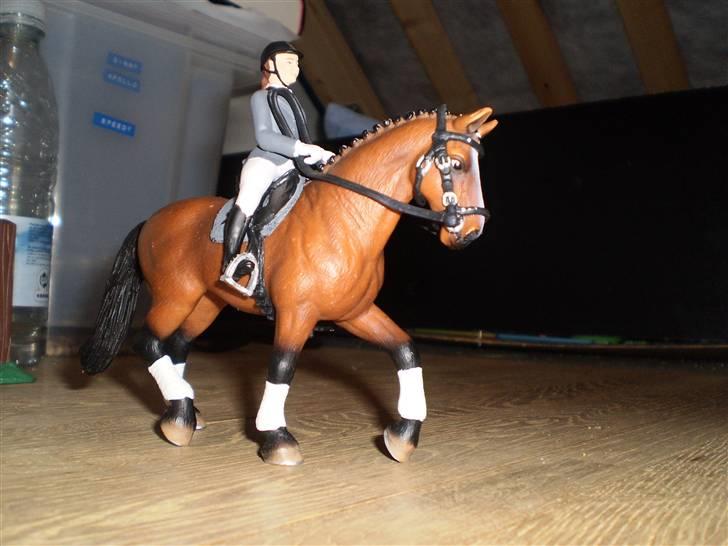 Hannoveraner All Horse´sDream Come True (Wonder) (Schleich) - Træning billede 4
