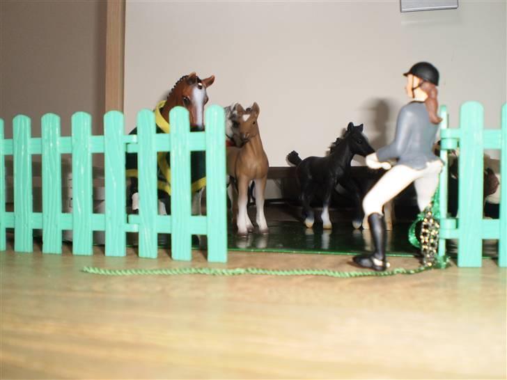 Hannoveraner All Horse´sDream Come True (Wonder) (Schleich) - På fold billede 5