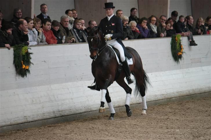 Blue Hors Åbent Hus 2010 - Blue Hors Rush Hour billede 2