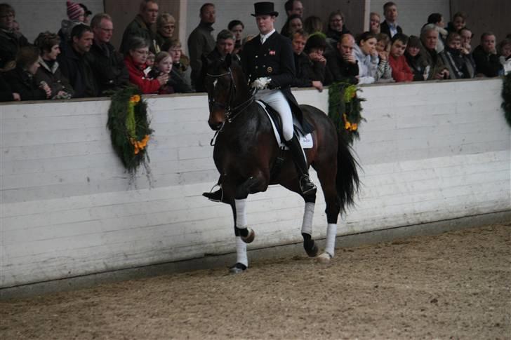 Blue Hors Åbent Hus 2010 - Blue Hors Rush Hour billede 3