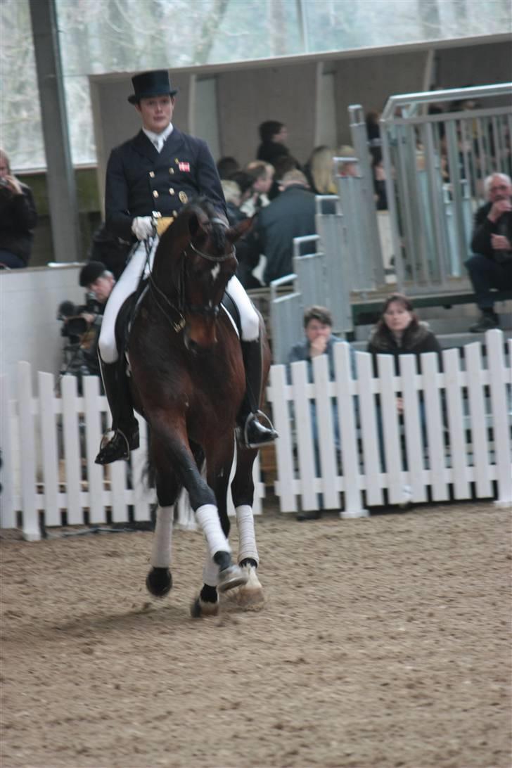 Blue Hors Åbent Hus 2010 - Blue Hors Rush Hour billede 4