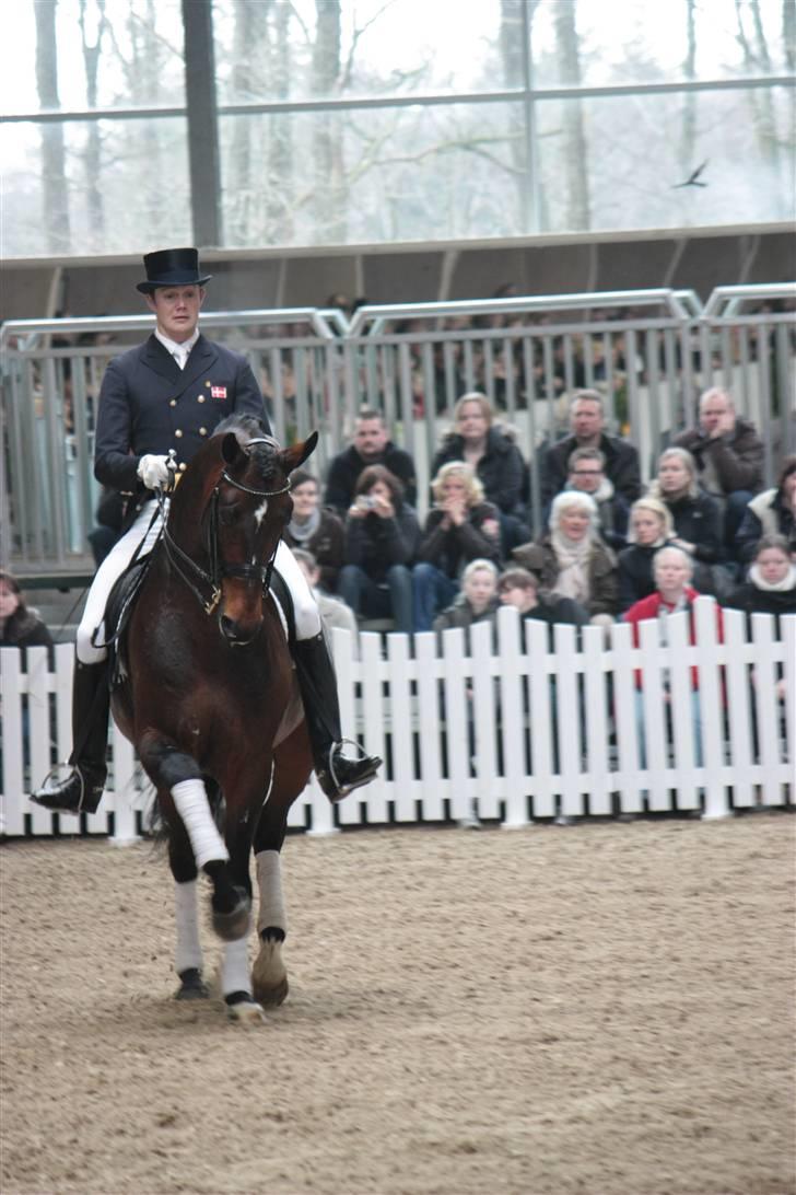 Blue Hors Åbent Hus 2010 - Blue Hors Rush Hour billede 5