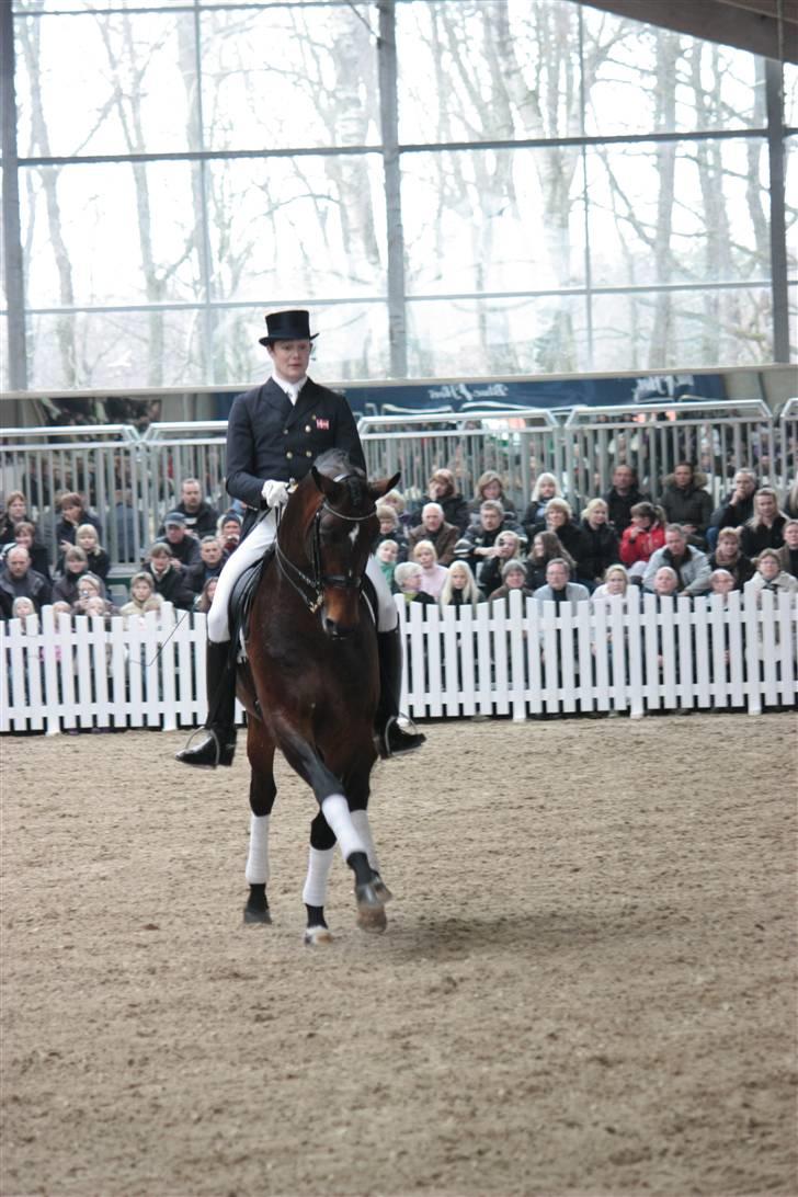 Blue Hors Åbent Hus 2010 - Blue Hors Rush Hour billede 6