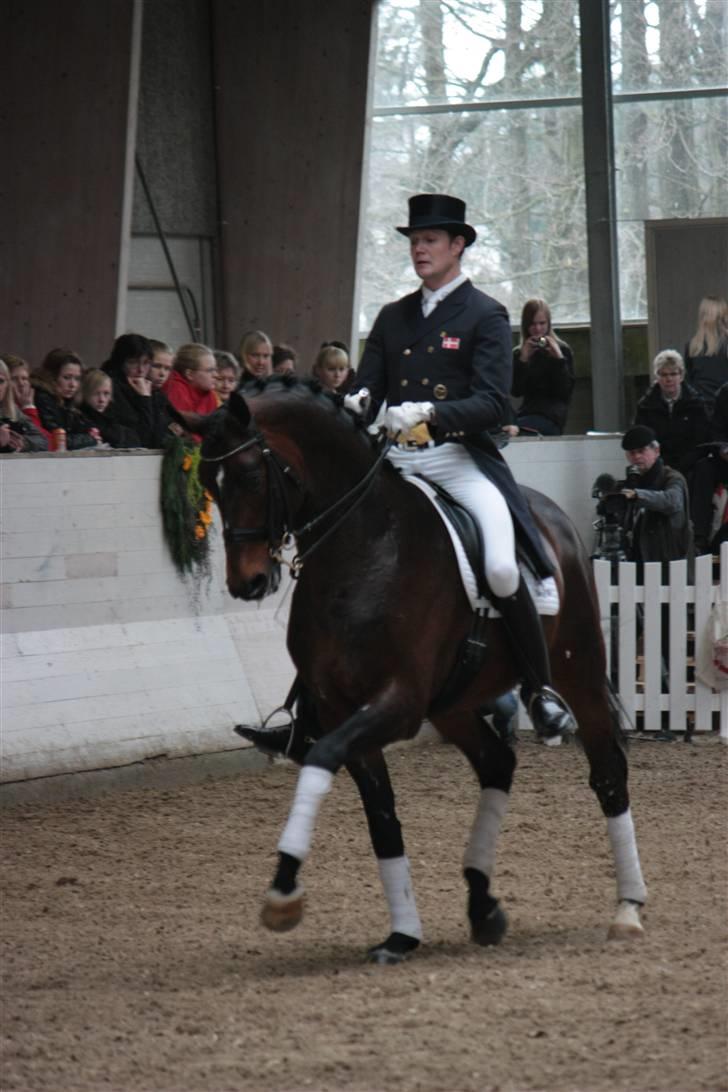 Blue Hors Åbent Hus 2010 - Blue Hors Rush Hour billede 7