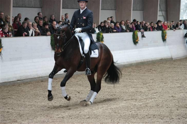 Blue Hors Åbent Hus 2010 - Blue Hors Rush Hour billede 8