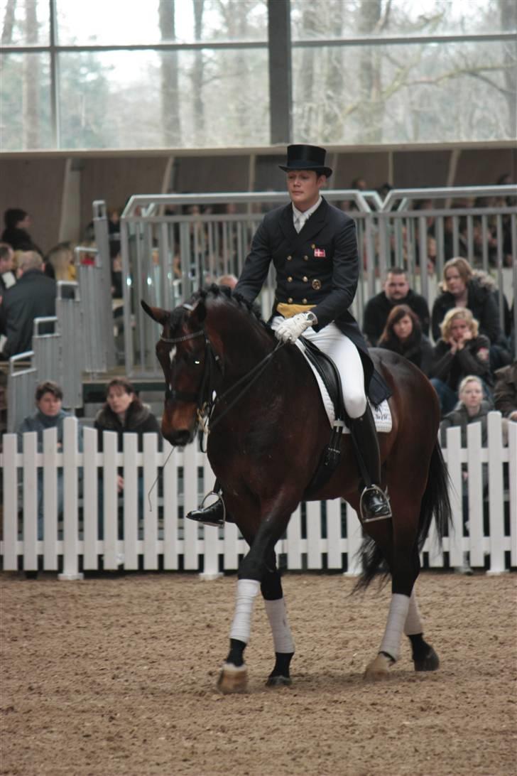 Blue Hors Åbent Hus 2010 - Blue Hors Rush Hour billede 9