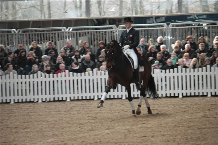 Blue Hors Åbent Hus 2010 - Blue Hors Rush Hour billede 10