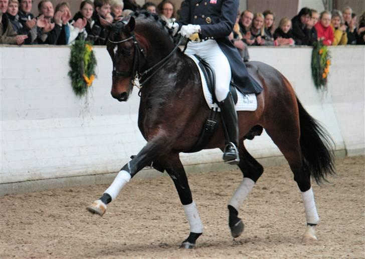 Blue Hors Åbent Hus 2010 - Blue Hors Rush Hour billede 1