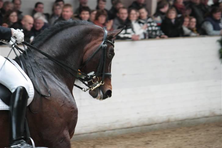 Blue Hors Åbent Hus 2010 - Blue Hors Rush Hour billede 11