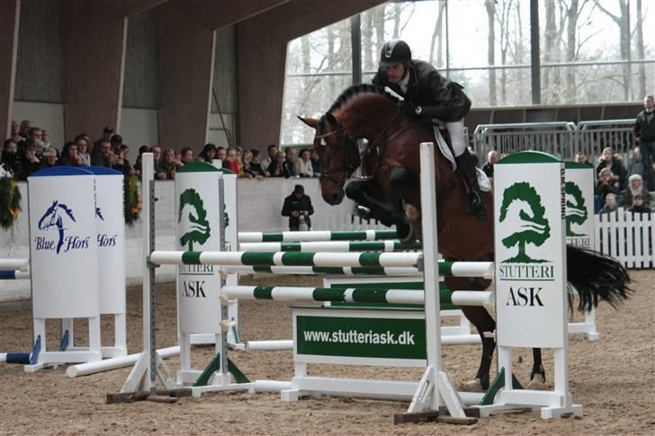 Blue Hors Åbent Hus 2010 - Cris Ask billede 15