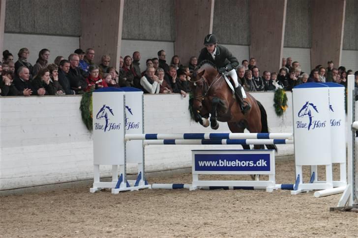 Blue Hors Åbent Hus 2010 - Cris Ask billede 16