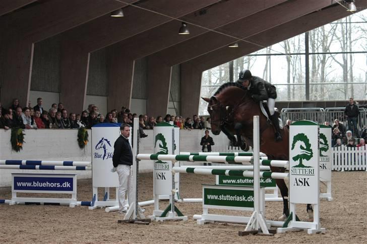 Blue Hors Åbent Hus 2010 - Cris Ask billede 17