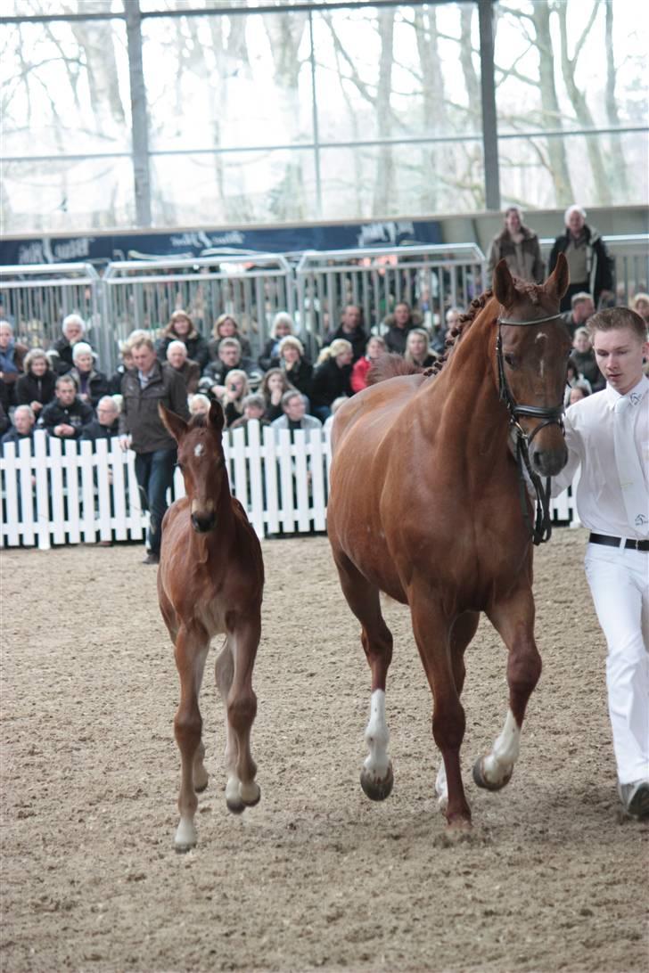 Blue Hors Åbent Hus 2010 - Afkom efter Cris Ask billede 18