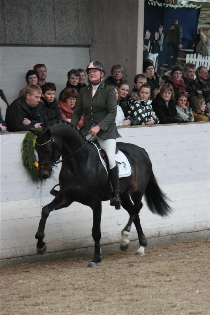 Blue Hors Åbent Hus 2010 - Charlton Sem billede 19