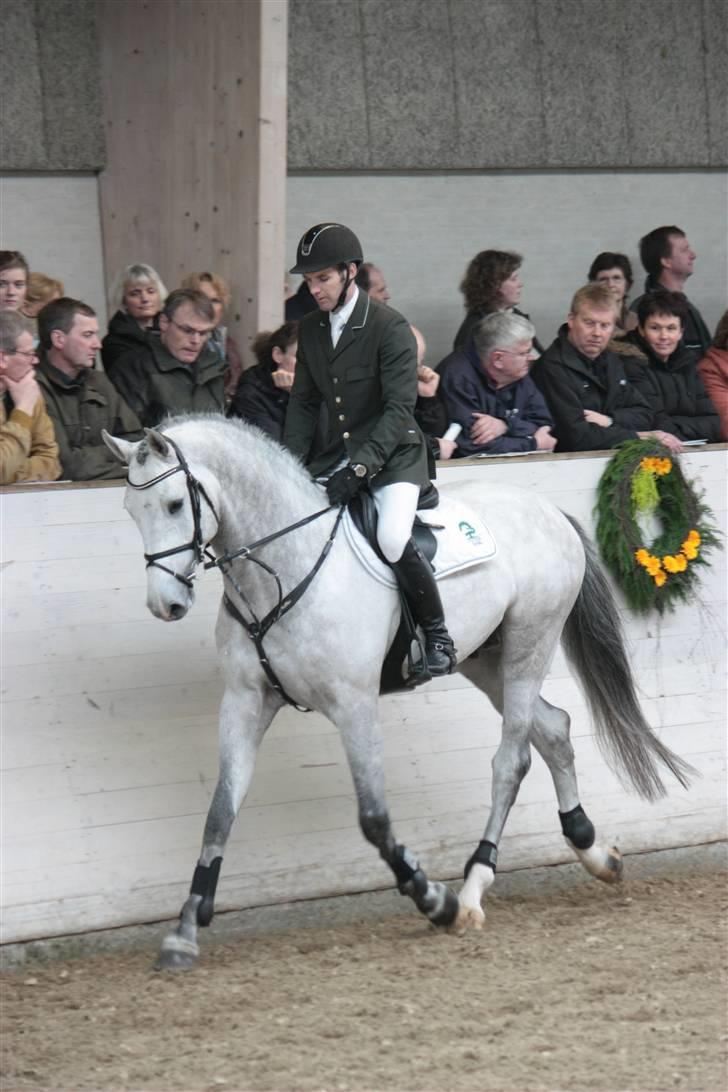 Blue Hors Åbent Hus 2010 - Ci Ci Senjor Ask billede 20