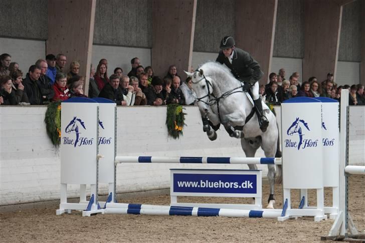 Blue Hors Åbent Hus 2010 - Ci Ci Senjor Ask billede 21