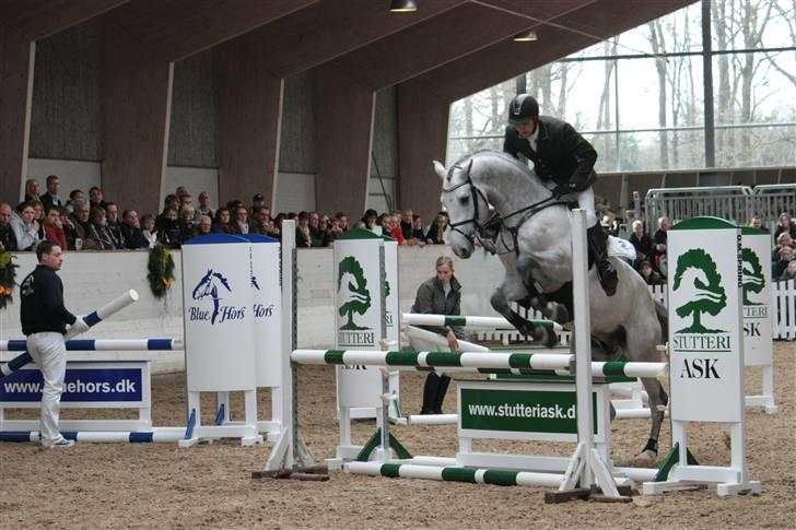 Blue Hors Åbent Hus 2010 - Ci Ci Senjor Ask billede 22