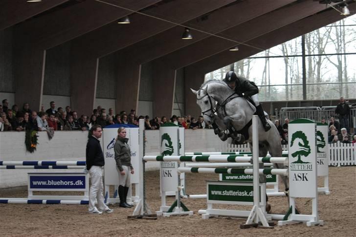 Blue Hors Åbent Hus 2010 - Ci Ci Senjor Ask billede 24