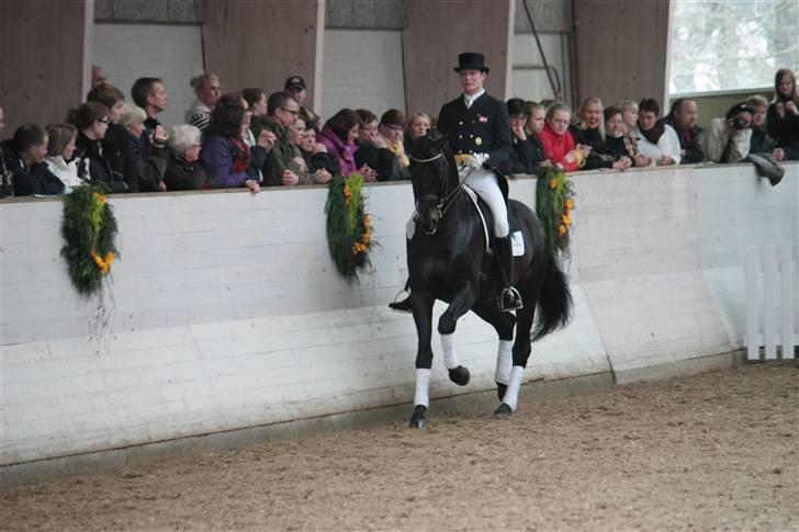 Blue Hors Åbent Hus 2010 - Blue Hors Hotline billede 41