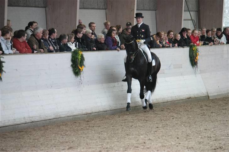 Blue Hors Åbent Hus 2010 - Blue Hors Hotline billede 42