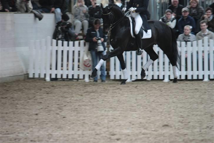 Blue Hors Åbent Hus 2010 - Blue Hors Hotline billede 43