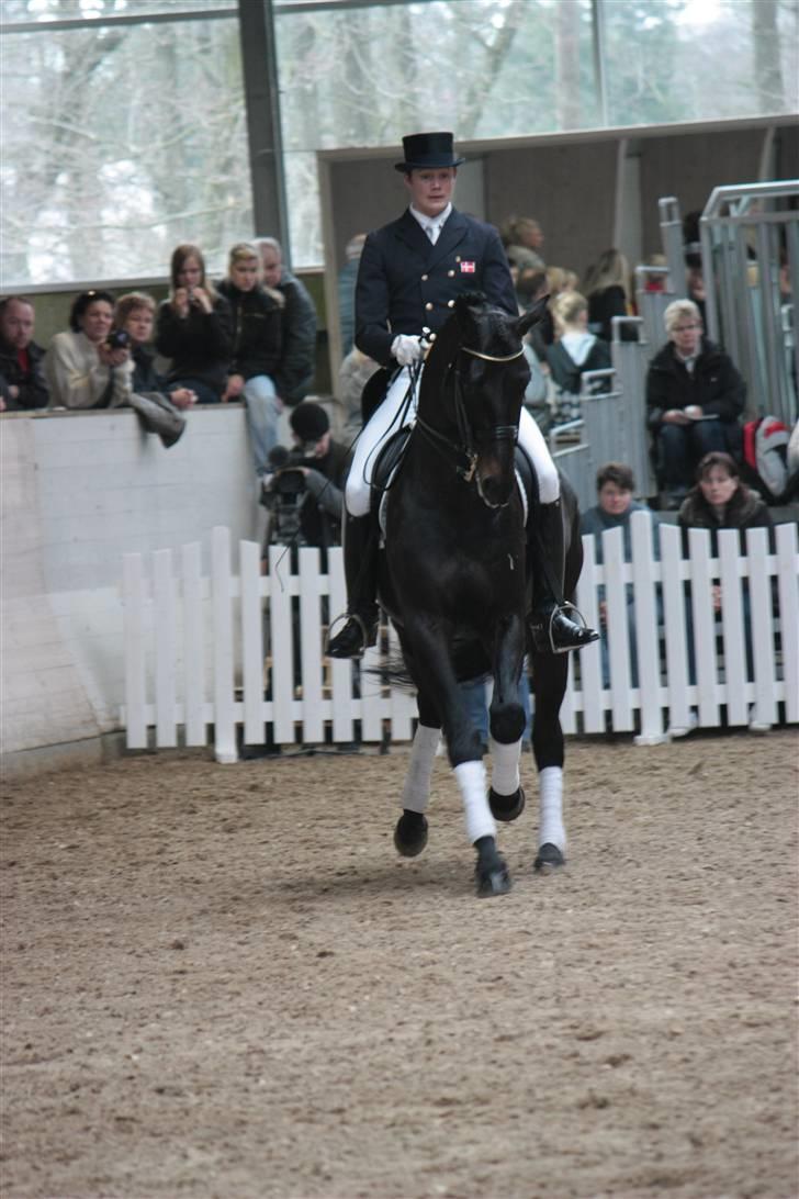 Blue Hors Åbent Hus 2010 - Blue Hors Hotline billede 44