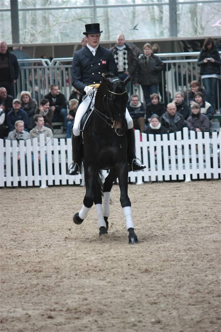 Blue Hors Åbent Hus 2010 - Blue Hors Hotline billede 45