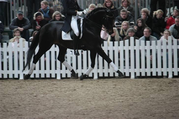 Blue Hors Åbent Hus 2010 - Blue Hors Hotline billede 47