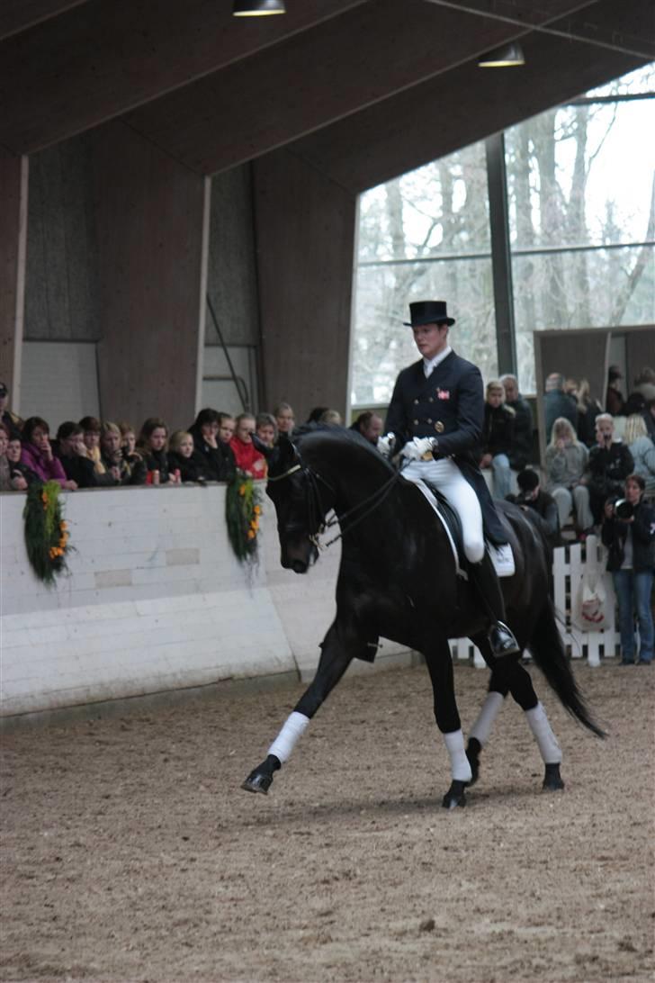 Blue Hors Åbent Hus 2010 - Blue Hors Hotline billede 48