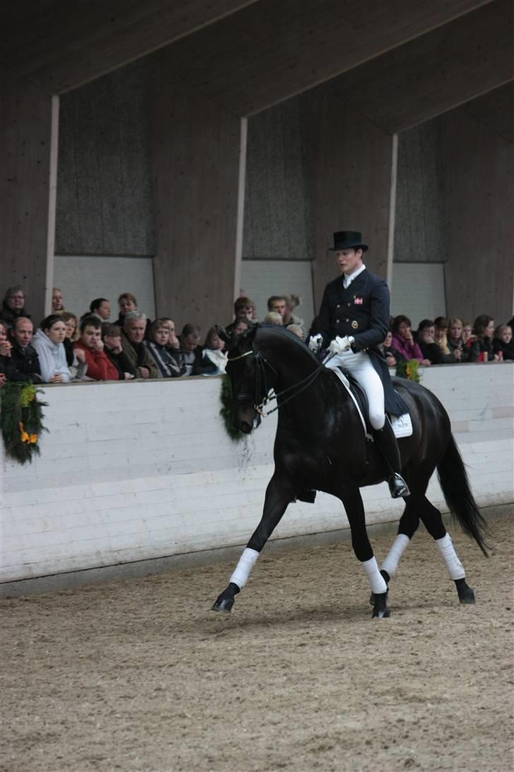 Blue Hors Åbent Hus 2010 - Blue Hors Hotline billede 49