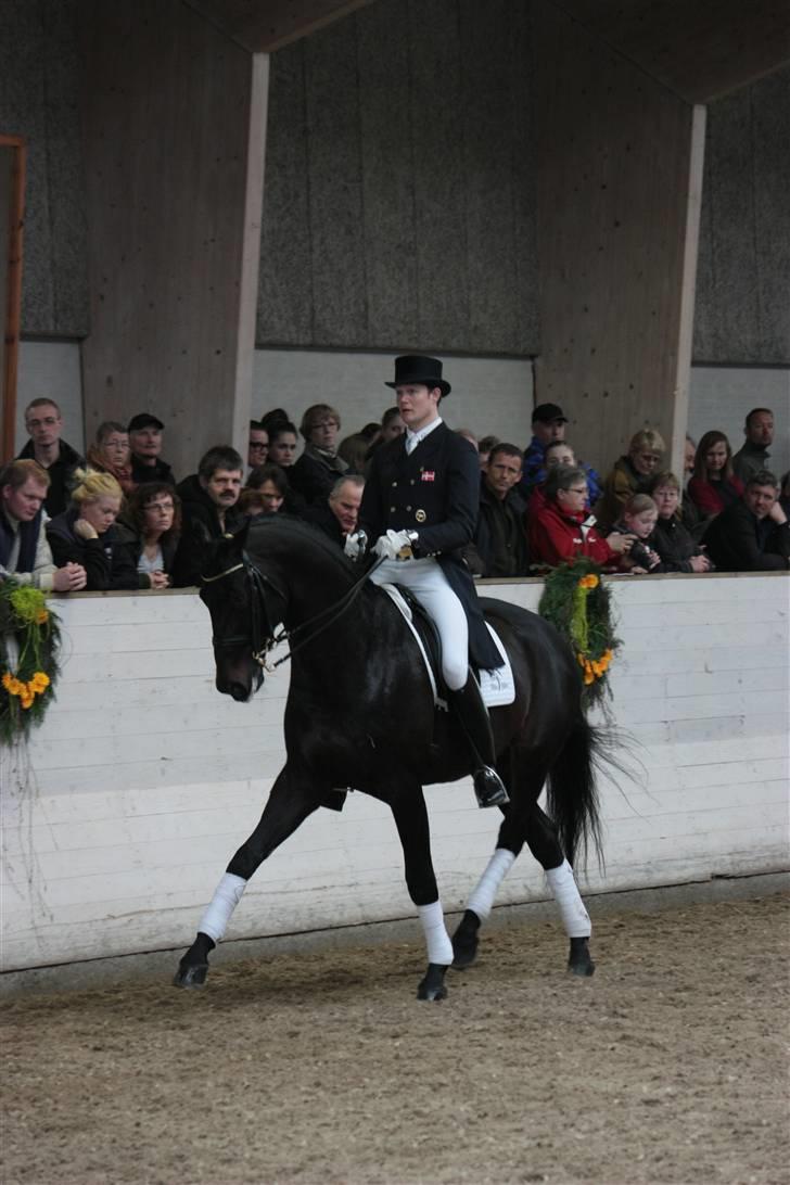 Blue Hors Åbent Hus 2010 - Blue Hors Hotline billede 50