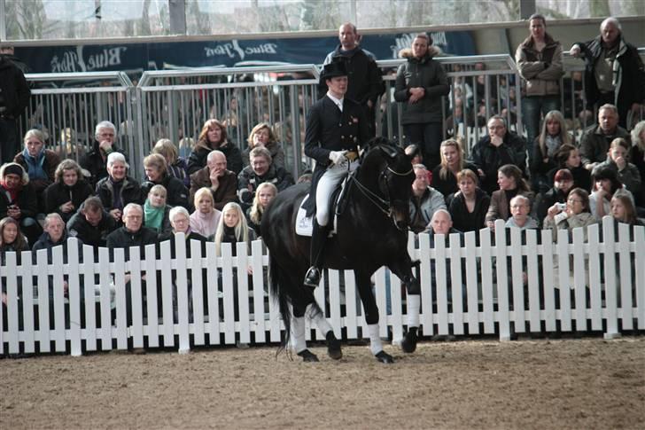 Blue Hors Åbent Hus 2010 - Blue Hors Hotline billede 51