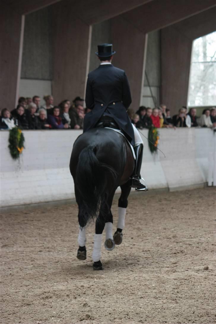 Blue Hors Åbent Hus 2010 - Blue Hors Hotline billede 53