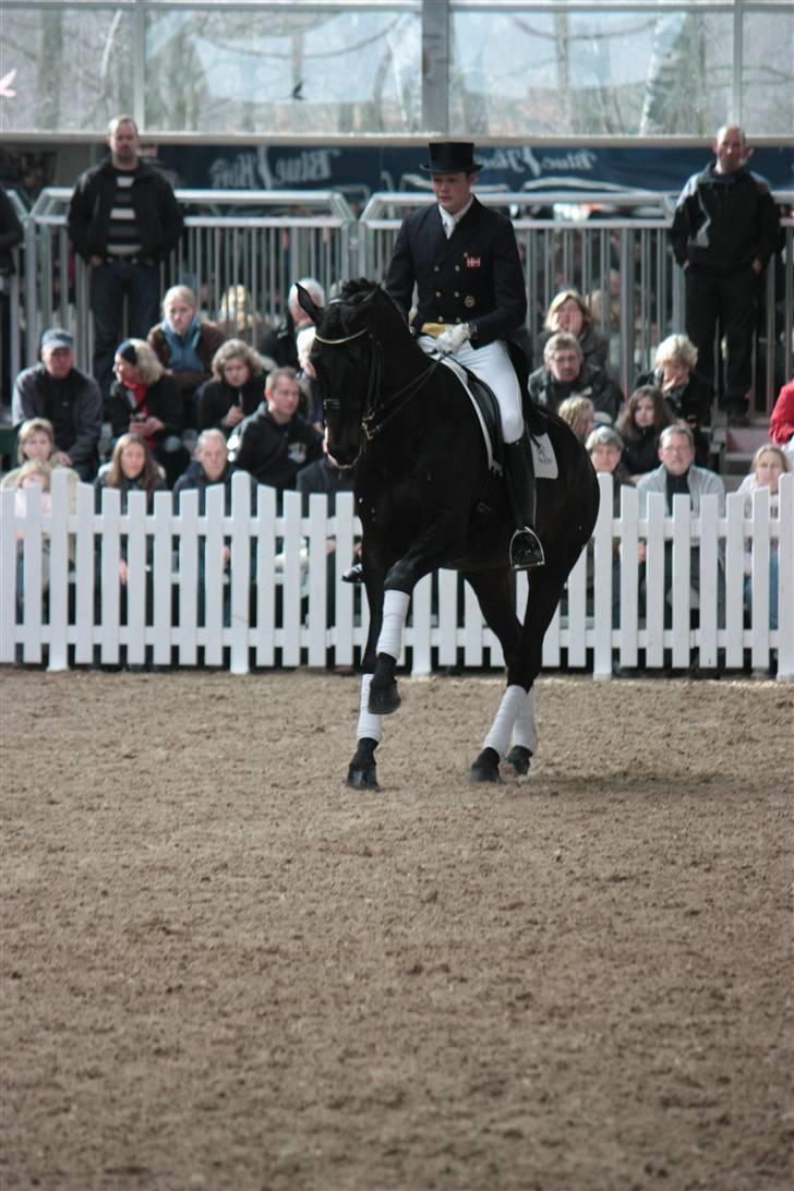 Blue Hors Åbent Hus 2010 - Blue Hors Hotline billede 56