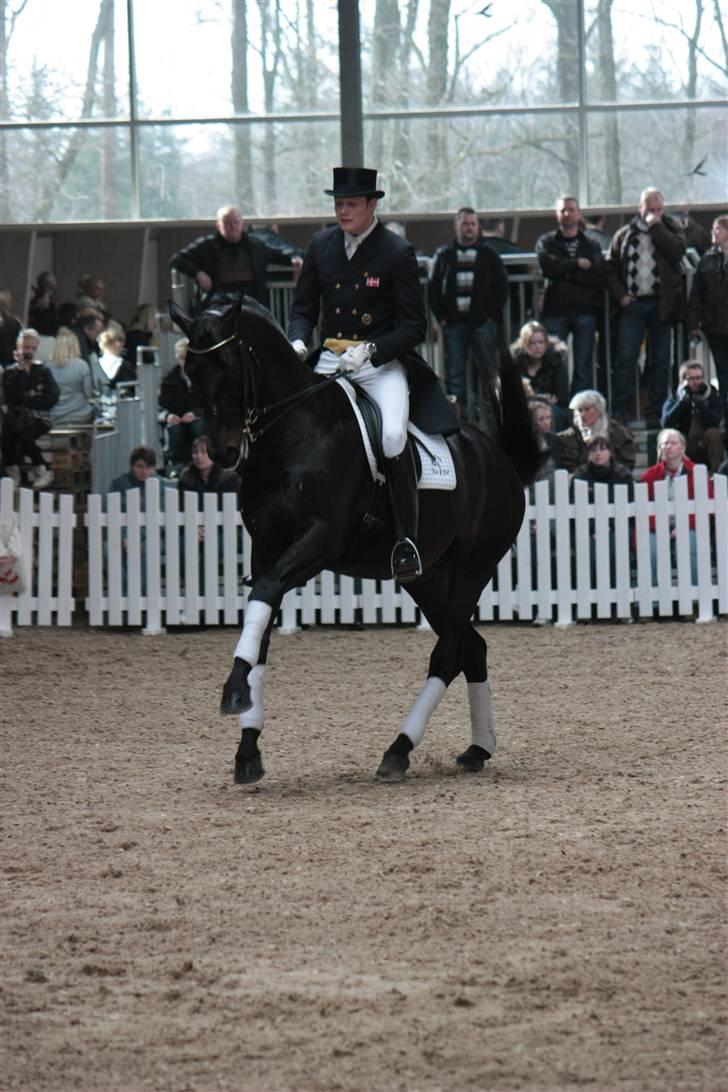 Blue Hors Åbent Hus 2010 - Blue Hors Hotline billede 57