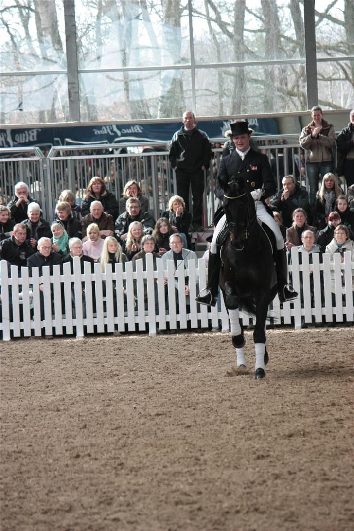 Blue Hors Åbent Hus 2010 - Blue Hors Hotline billede 59