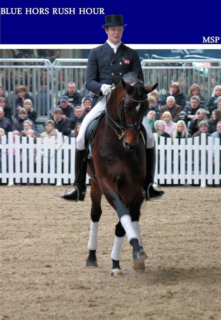 Blue Hors Åbent Hus 2010 billede 61