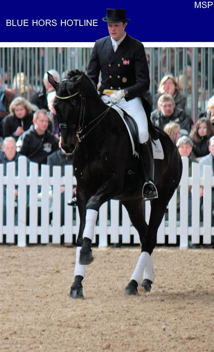 Blue Hors Åbent Hus 2010 billede 62