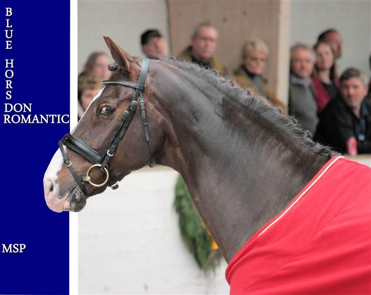 Blue Hors Åbent Hus 2010 billede 63