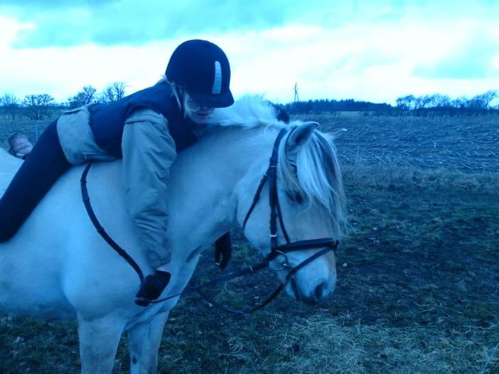 Påske billede:D  billede 1