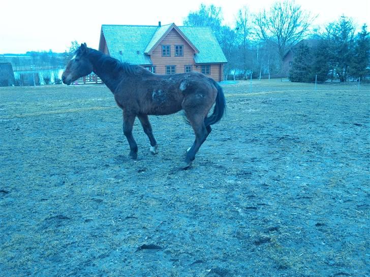 Påske billede:D  billede 3