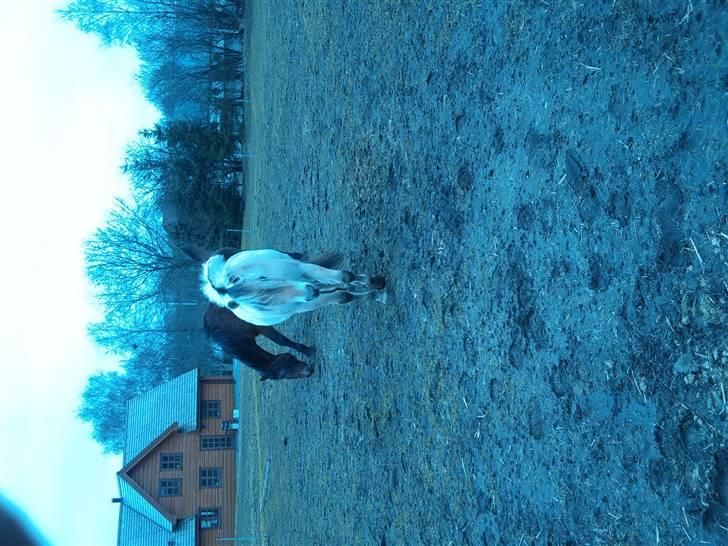 Påske billede:D  billede 5