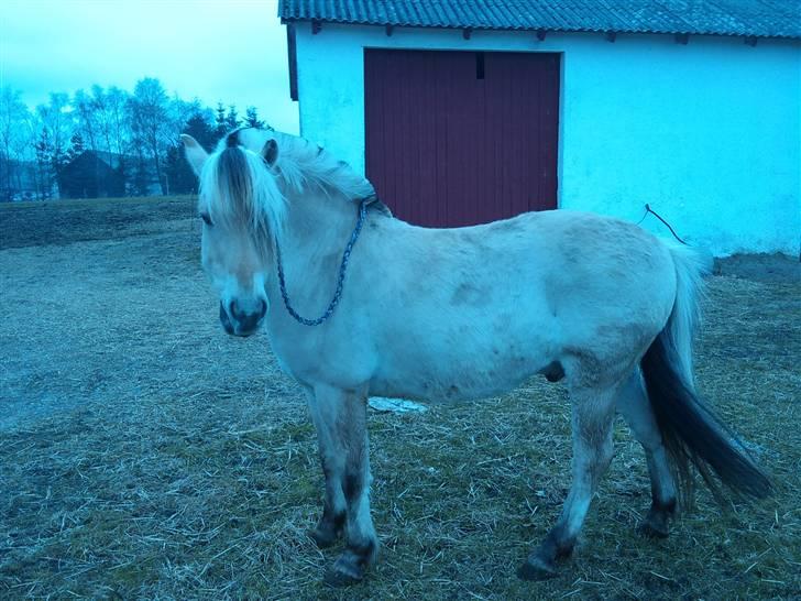 Påske billede:D  billede 8