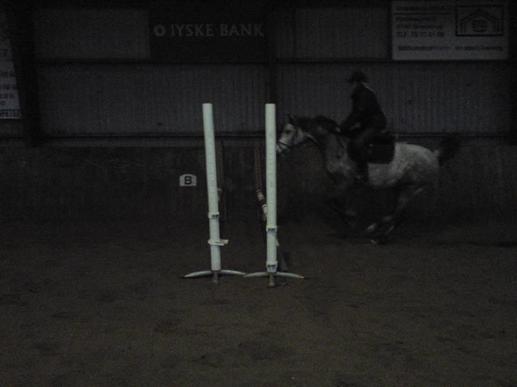 Springning på Brædstrup rideskole d. 31 Marts 10 - Stine og Kemt billede 2