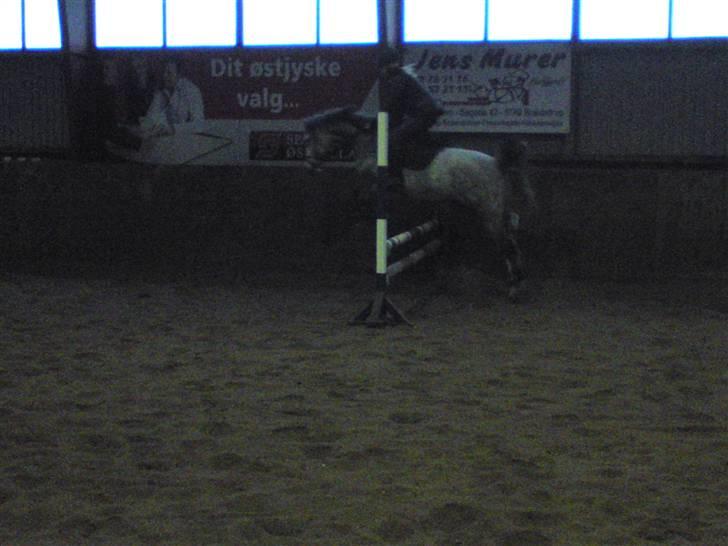 Springning på Brædstrup rideskole d. 31 Marts 10 - Stine og Kemt billede 3