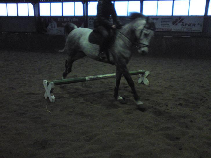 Springning på Brædstrup rideskole d. 31 Marts 10 - Stine og Kemt billede 4